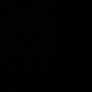 Meet your Posher, Riley